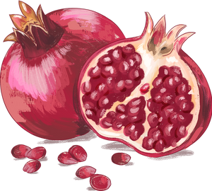 Painterly Hanukkah Pomegranate Fruit