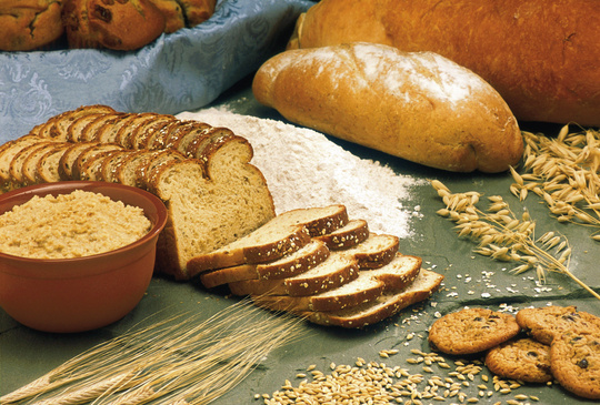 Different Kinds of Bread